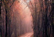 开云体育官网-黑手党渗透意大利足球俱乐部