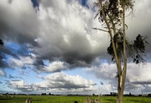 开云体育网址-湖南江华：立“足”育人 校园足球为学生成长赋能