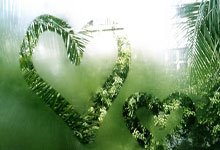 开云体育平台-英超彩经：红军激战阿森纳 曼城难赢布莱顿