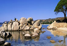 开云体育下载-中国平安股价上涨1.02%，体育保险布局引关注