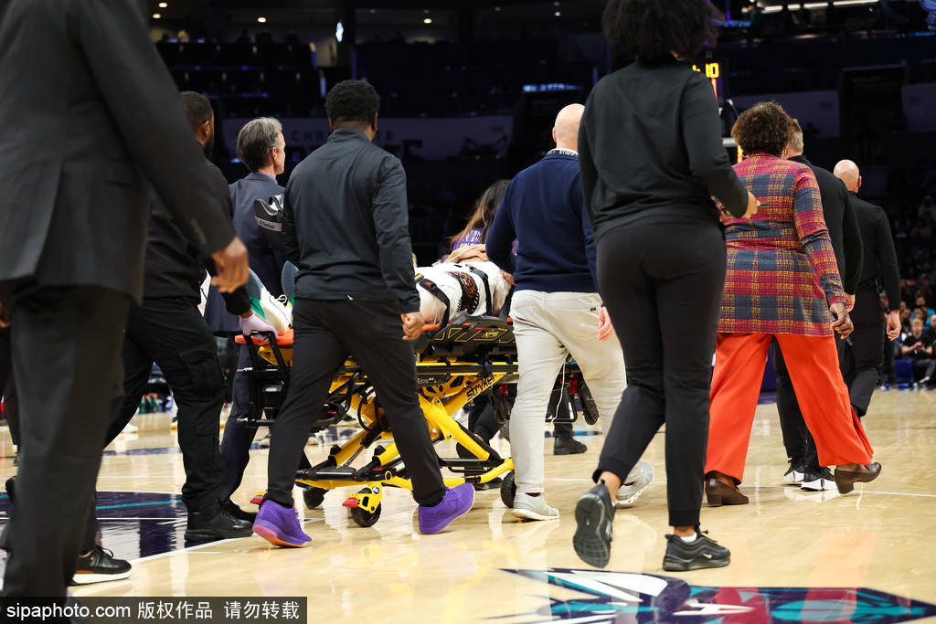 图马斯·伊萨洛：孟菲斯灰熊新任主帅的辉煌历程与未来展望