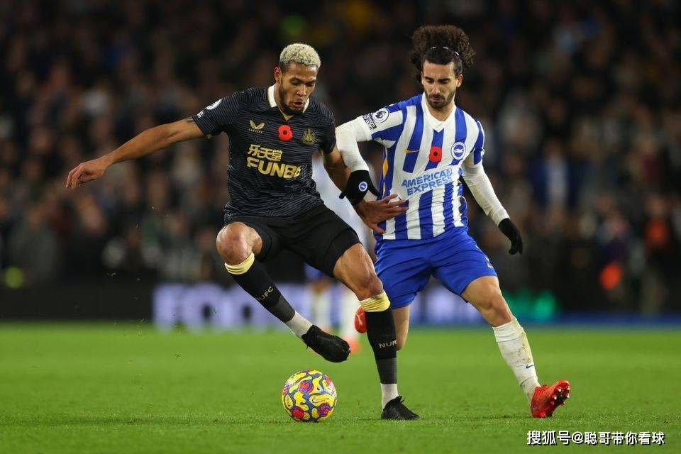 英超中上游对决:布莱顿低迷求胜,纽卡斯尔联客场冲前三。