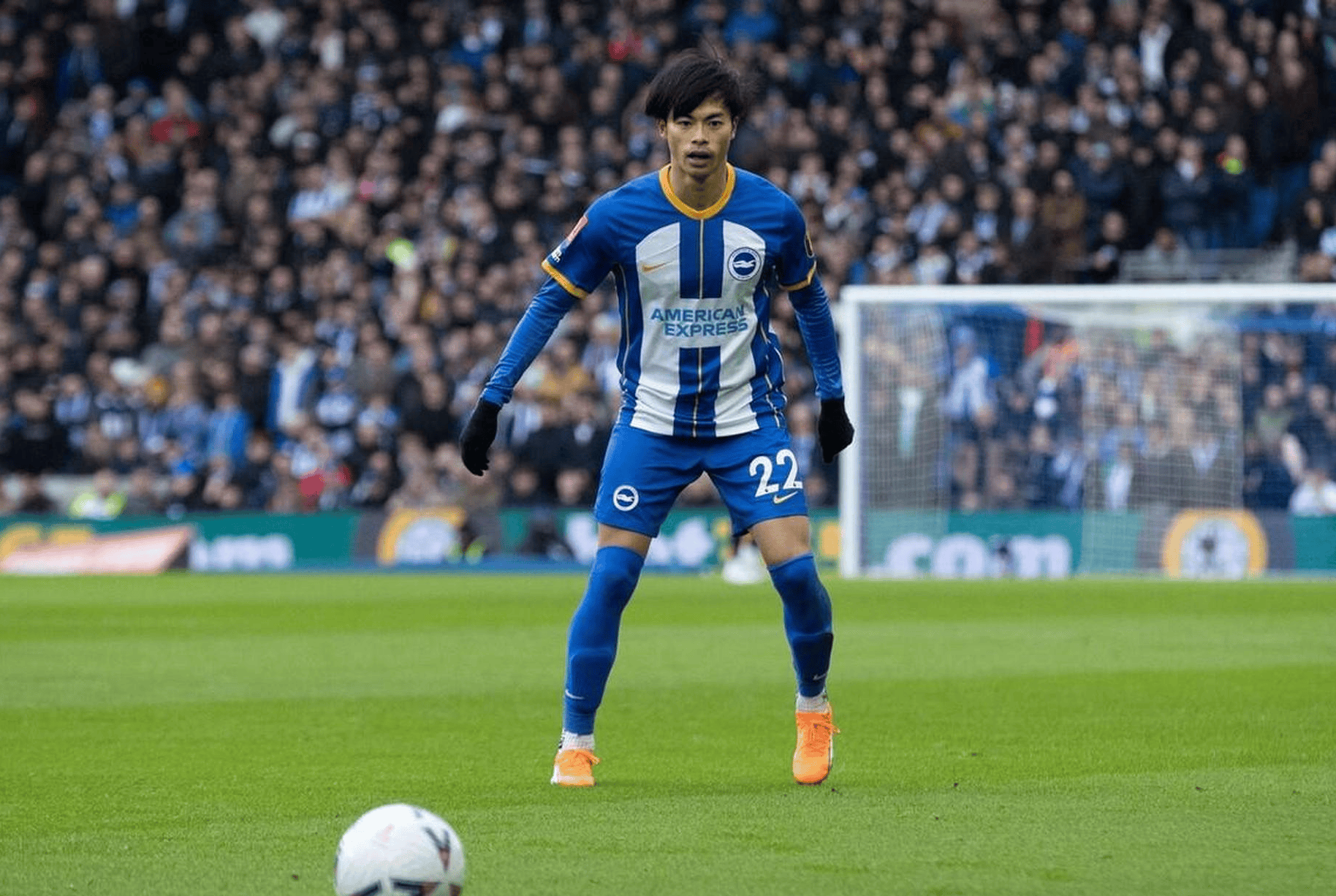 布莱顿VS纽卡斯尔联预测分析：布莱顿与纽卡斯尔联能否打成平局？