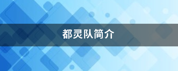 开云体育app-都灵伤费义游队简介